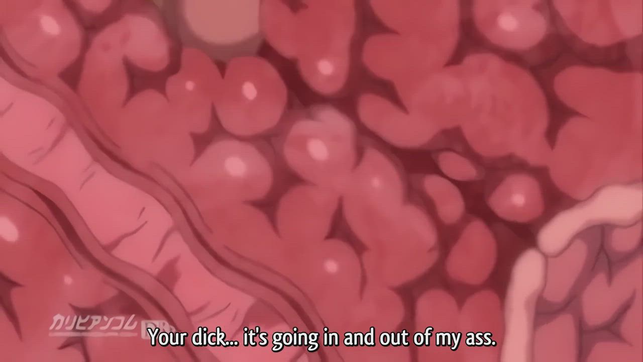 Anal GIF by expo69