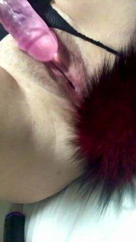 Just a cat in heat practically begging to be bred 😜💦