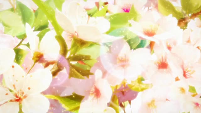 Webm 7