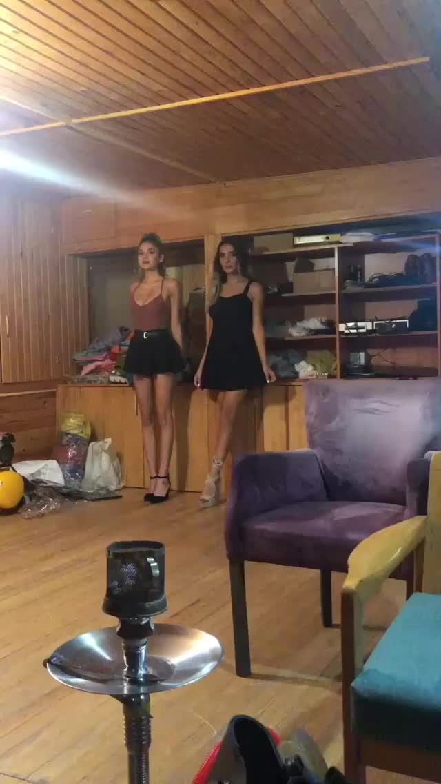 merve taskin cat walking with damla