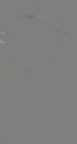 Inga Zemlyanskaya Jessica Zelinske Kate Zoha gif