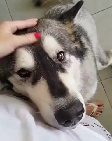 Blop <3