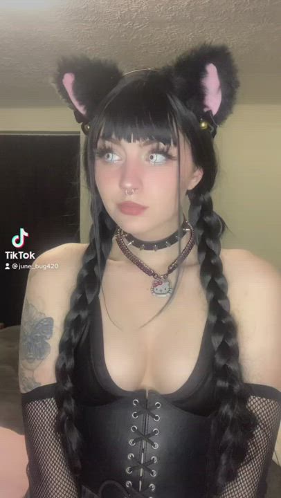 Anyone like cat girls?