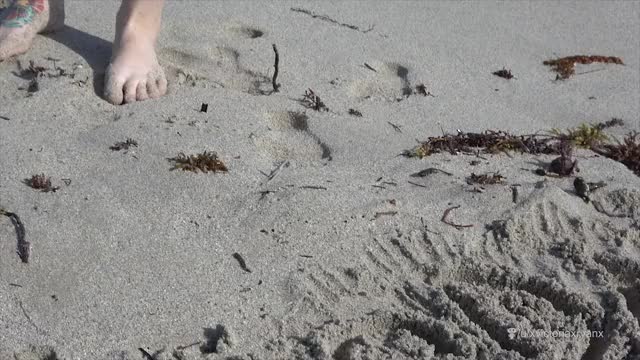 beachtitties