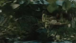 BAD TASTE 5