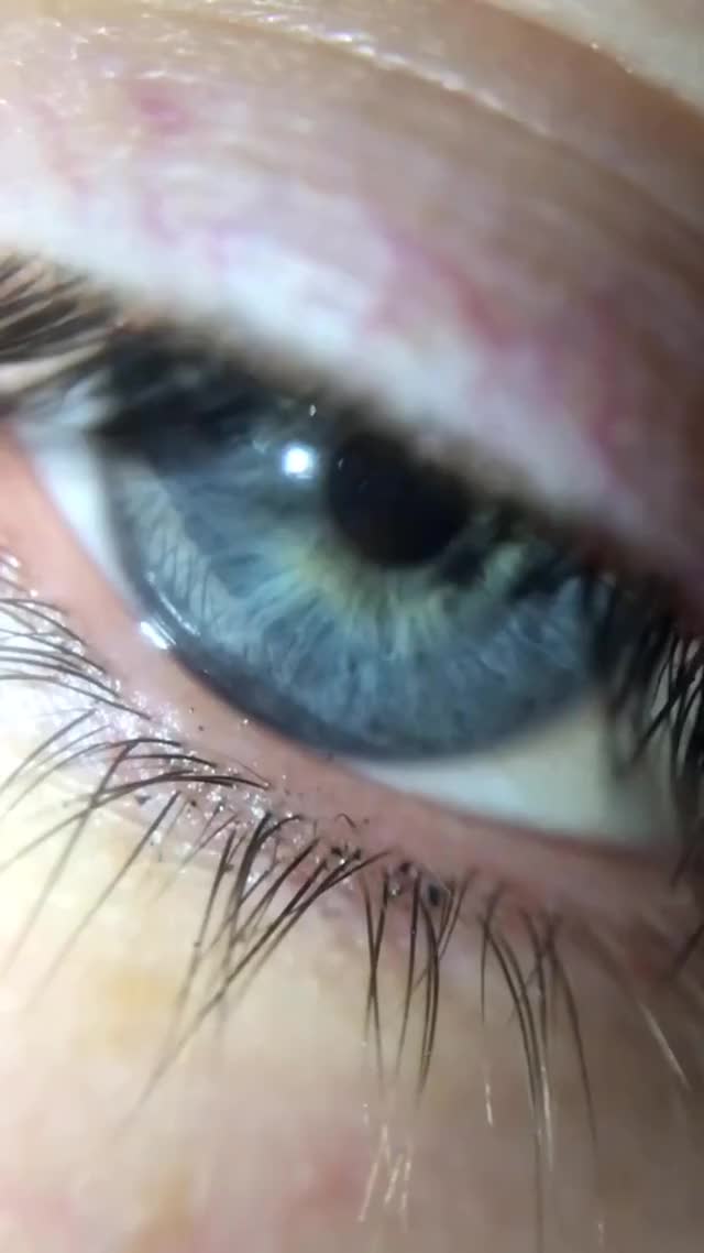 Wait for it. #foryou #foryoupage #aesthetic #eyes #macro