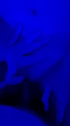 Blue Clit Rubbing Missionary gif