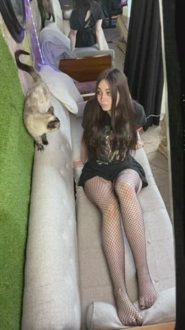 brunette fishnet thighs gif