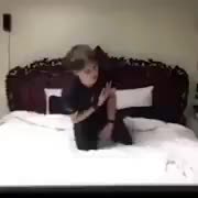 He faked a heart attack to see how his service dog in training would react.