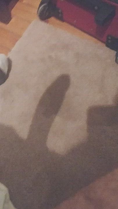 Hidden penis
