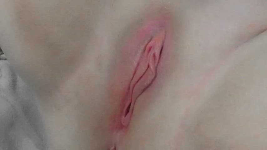 Pussy GIF by xoxoshelbss