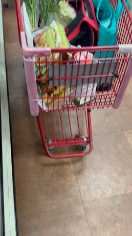 gilf grocery store nipples public see through clothing gif