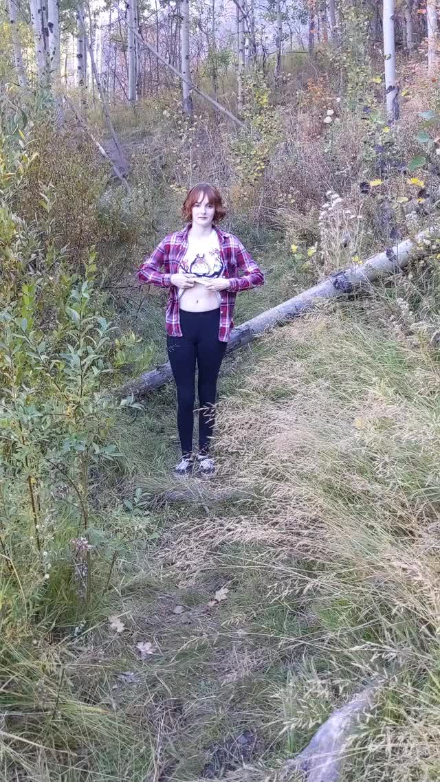 Big trees, changing leaves, look at me (・ωｰ) [gif]