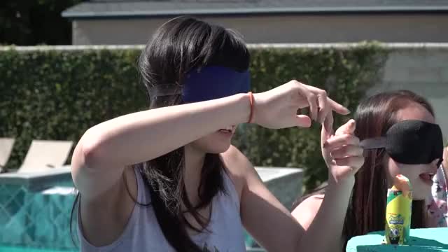 Blind Ice Cream Truck Challenge! ft. Gina Darling & Julia Chow