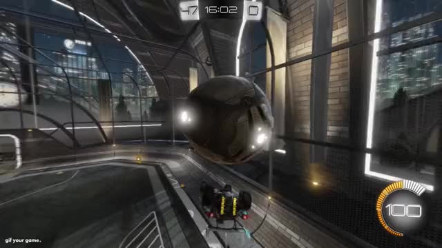 An Average Fish. Clip 1