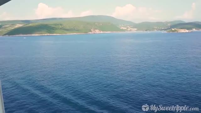 /r/unexpected [GIF]