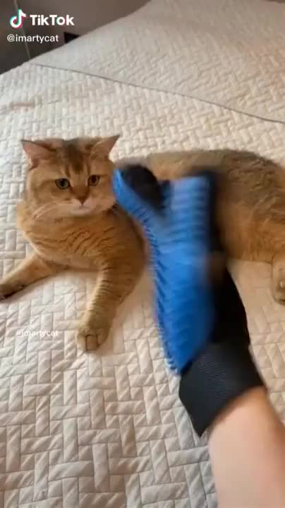 ripsave - petting gloves