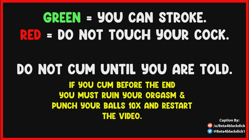 Whiteboi Training! Red Light/ Green Light!