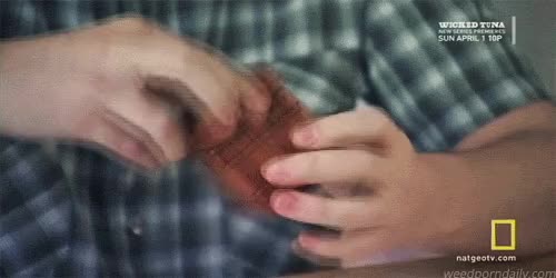 American Weed - grinding the weed