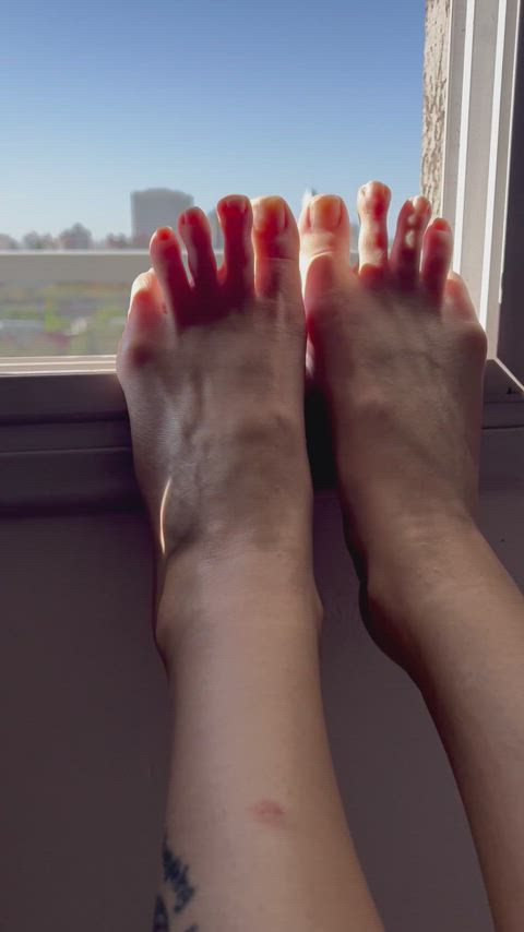my toes greeting the sun