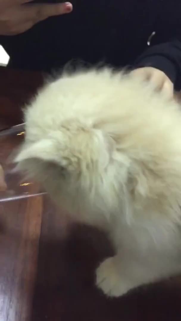 How to drink water