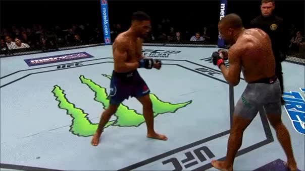 Barboza vs Lee wiggle-room