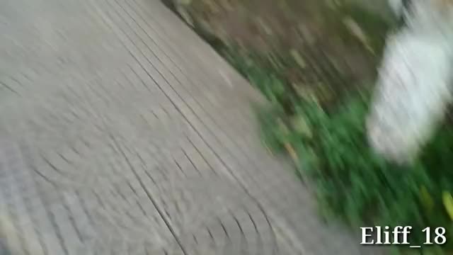 Public blowjob in a park with my girlfriend (She was almost caught with my cock in