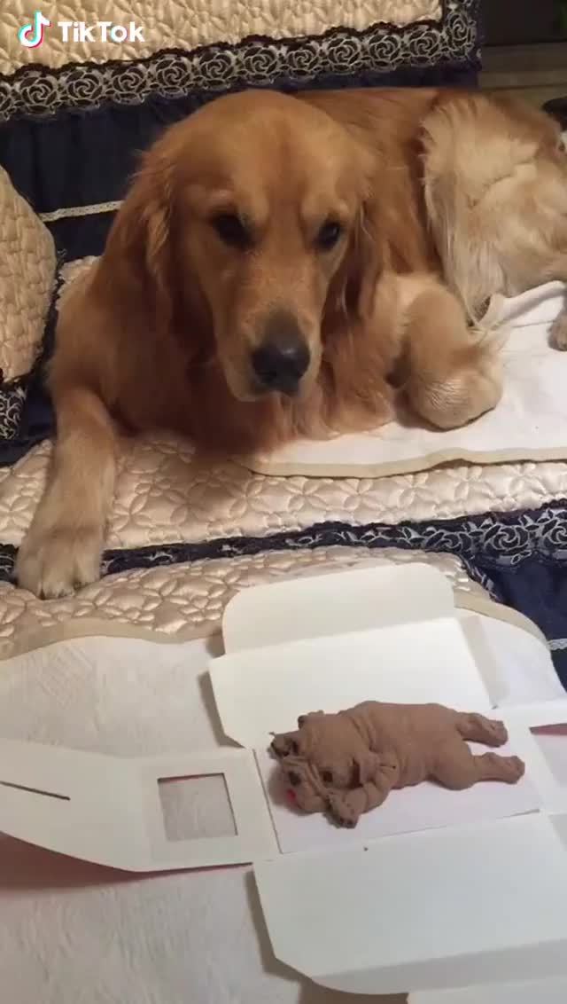Protect her friend