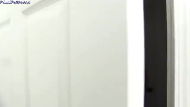 Room service. (play at 0.5x speed)