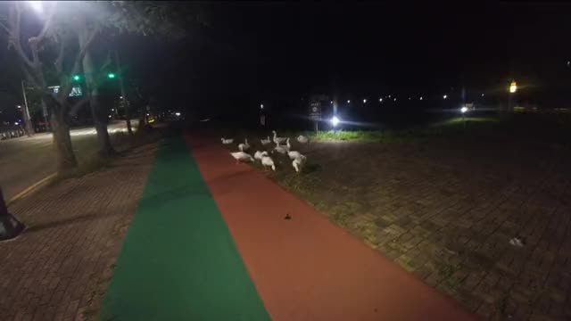 Capture+ 2019-08-11-04-56-15