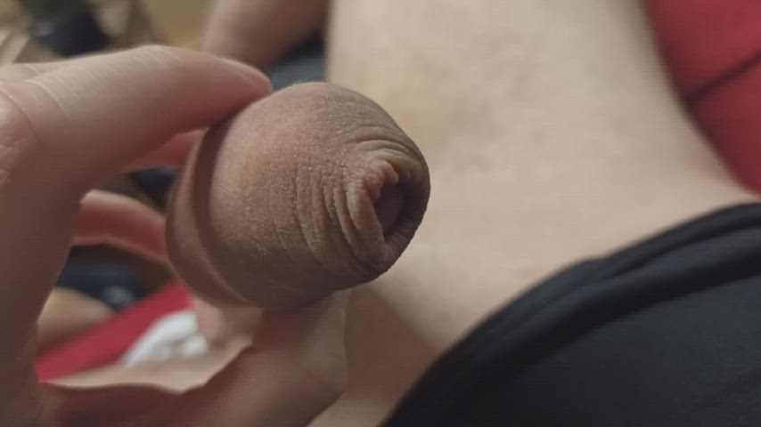 a little closeup pullback