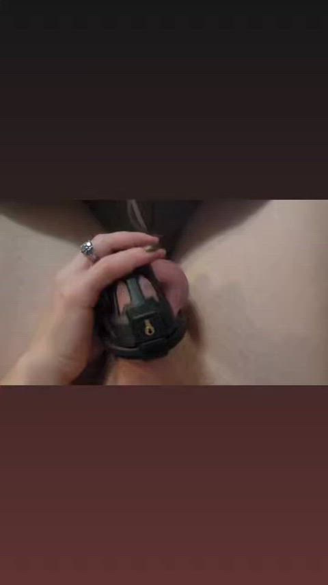 caged chastity cuckold handjob teasing gif