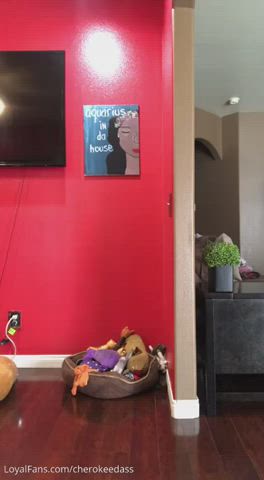 bubble butt cherokee d ass ebony gif