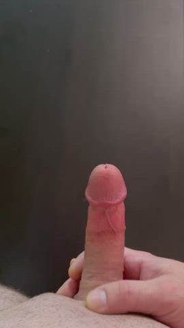 Been edging for 3 days. Wanna watch me shoot this load?