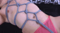ftm grinding shibari gif