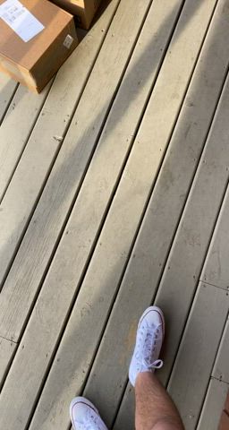Ass NSFW Public gif