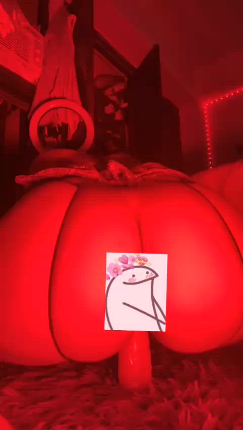 ass ass clapping ass spread asshole big ass gif