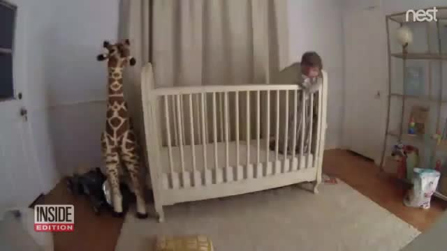 Dad reflexes