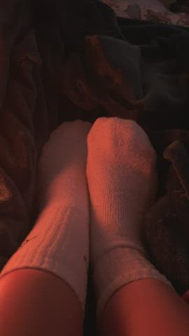 feet feet fetish feet licking feet sucking foot foot fetish foot licking foot worship