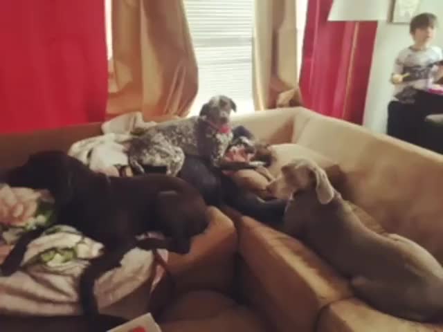 Imgur: The magic of the Internet