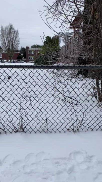 Snow twerk for a sec lol