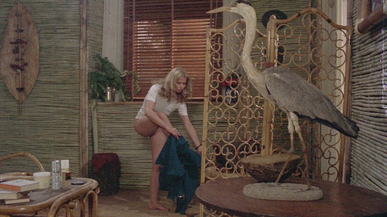 Celebrity Cinema Italian Nudity gif
