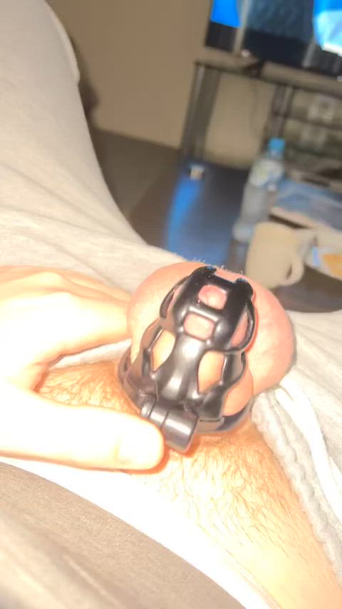 bottom chastity gay gif