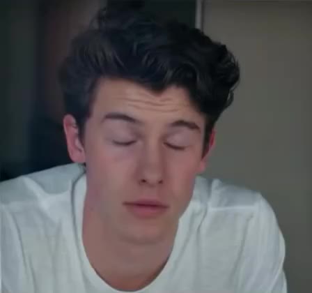 Shawn Mendes, Zedd - Lost In Japan