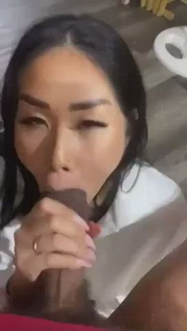 Asian BBC Blowjob Eye Contact POV gif