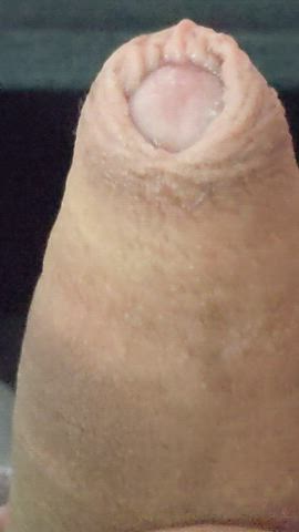 Cock Foreskin Male Masturbation gif