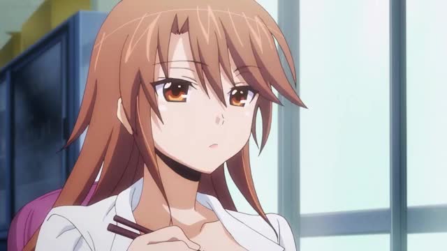 okusama ga seitokaichou