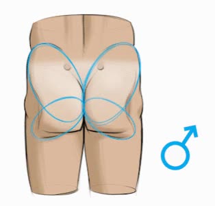 butt-muscles-butterfly-shape-male-3