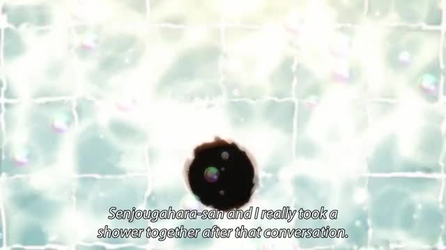 Monogatari Series 1
