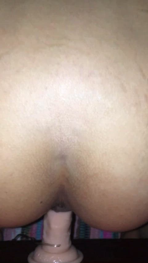 ass big ass dildo homemade new zealand pussy solo gif